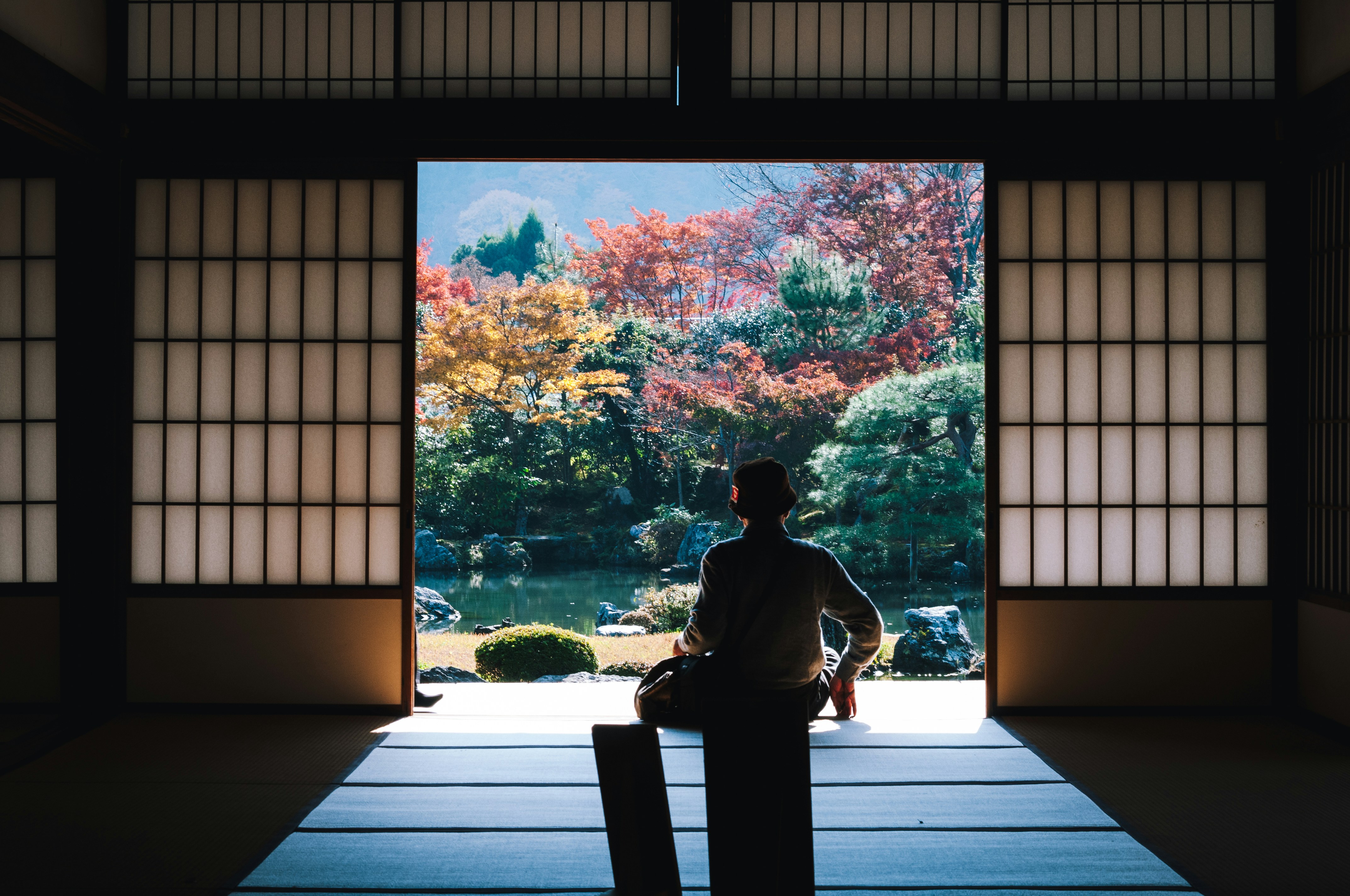 Japan’s Social Security and Long-Term Care Policy: A PESTEL Perspective